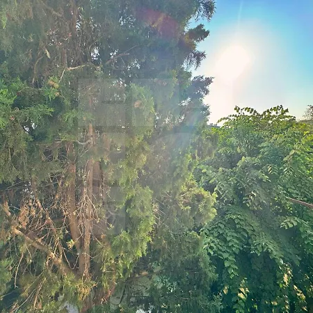 1br Pineview Retreat Apartment